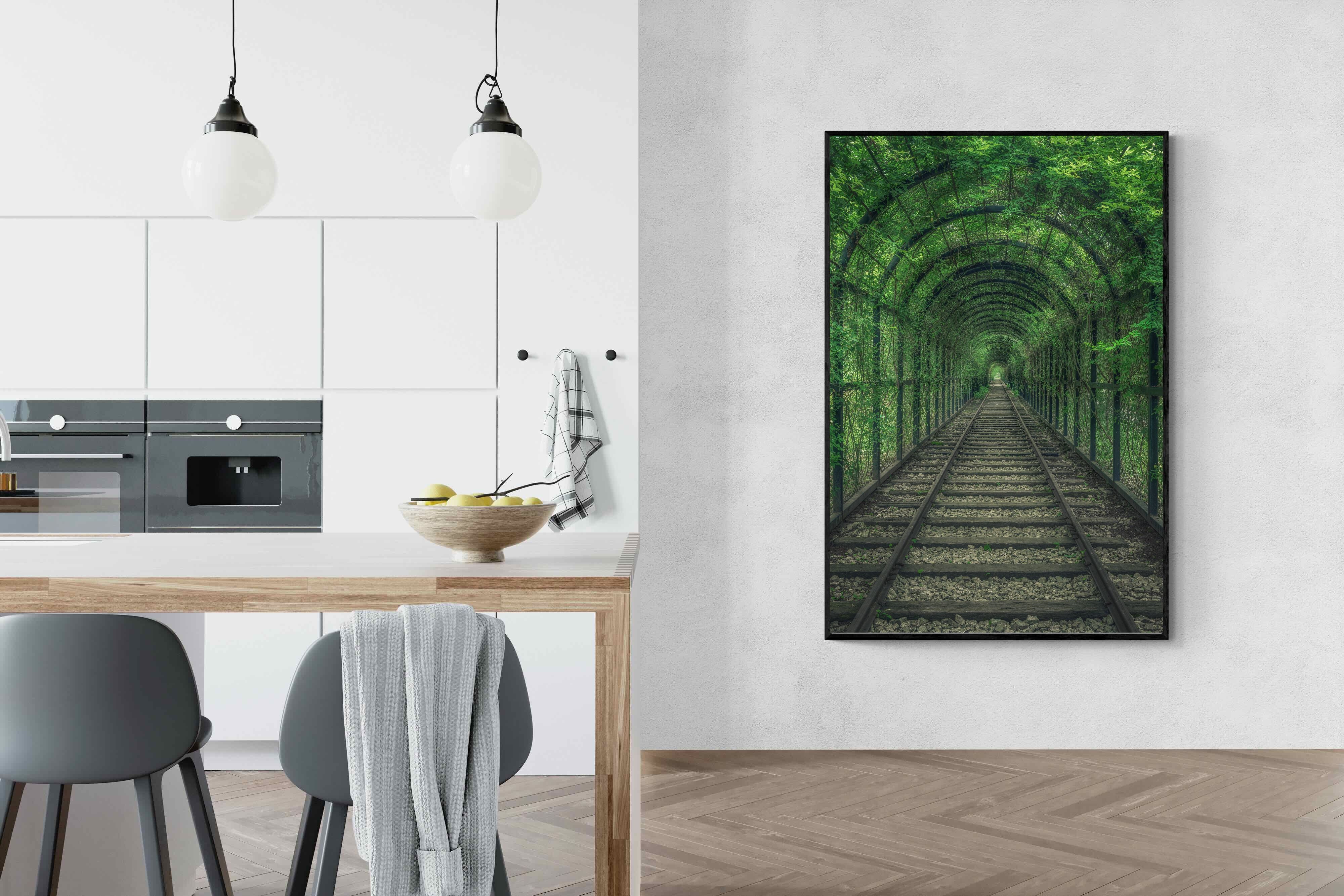 Pixalot Ivy Tunnel