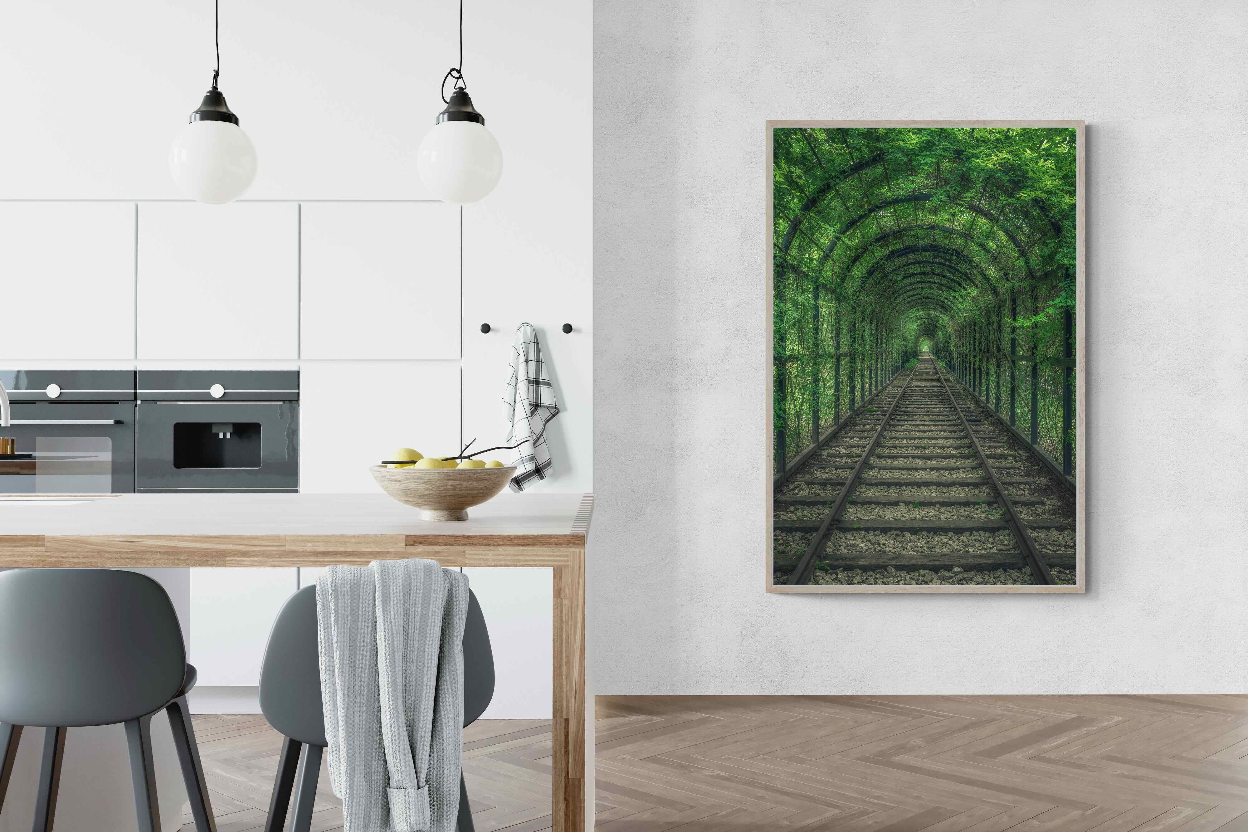 Pixalot Ivy Tunnel