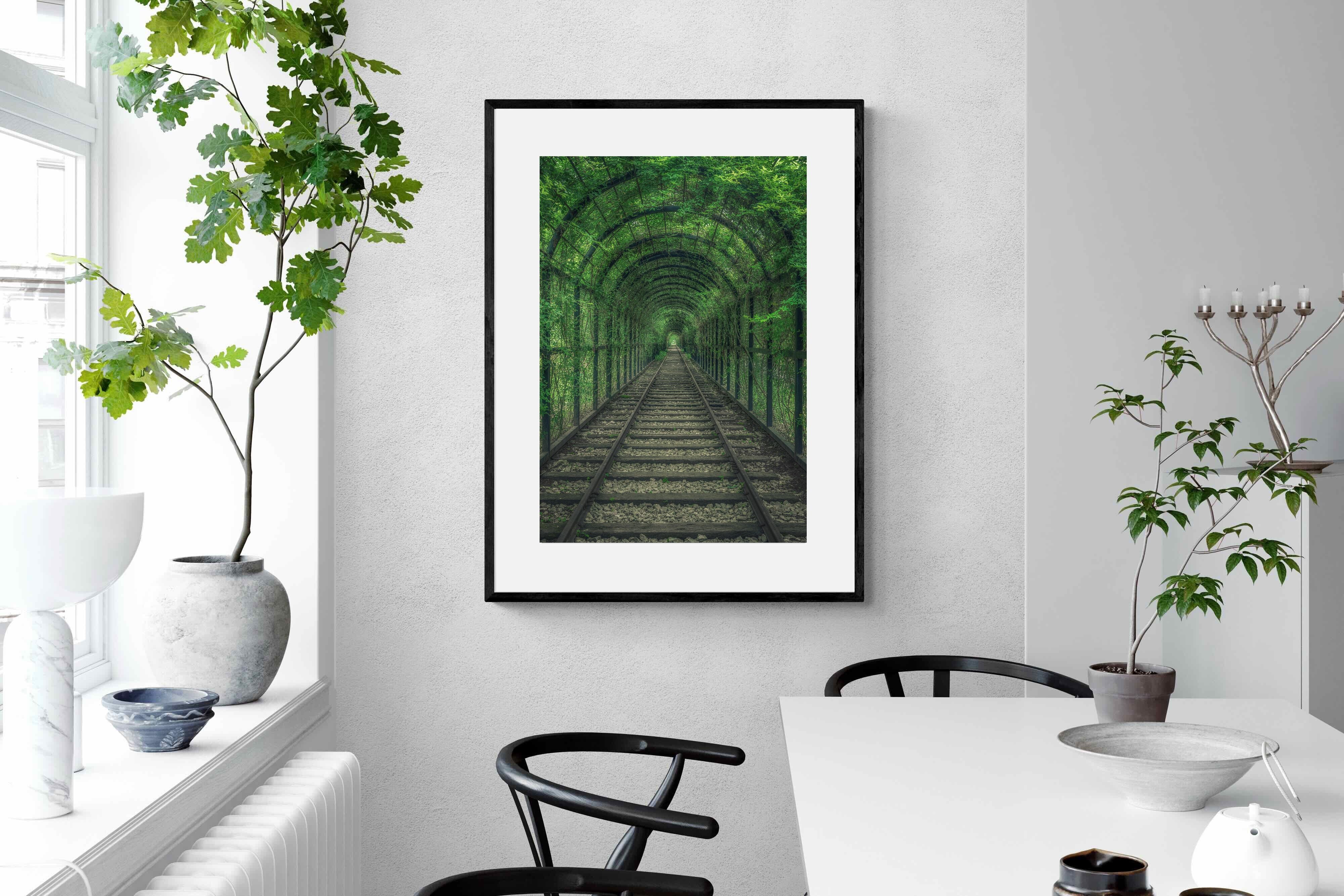 Pixalot Ivy Tunnel