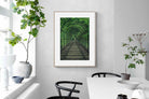 Pixalot Ivy Tunnel