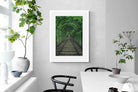 Pixalot Ivy Tunnel