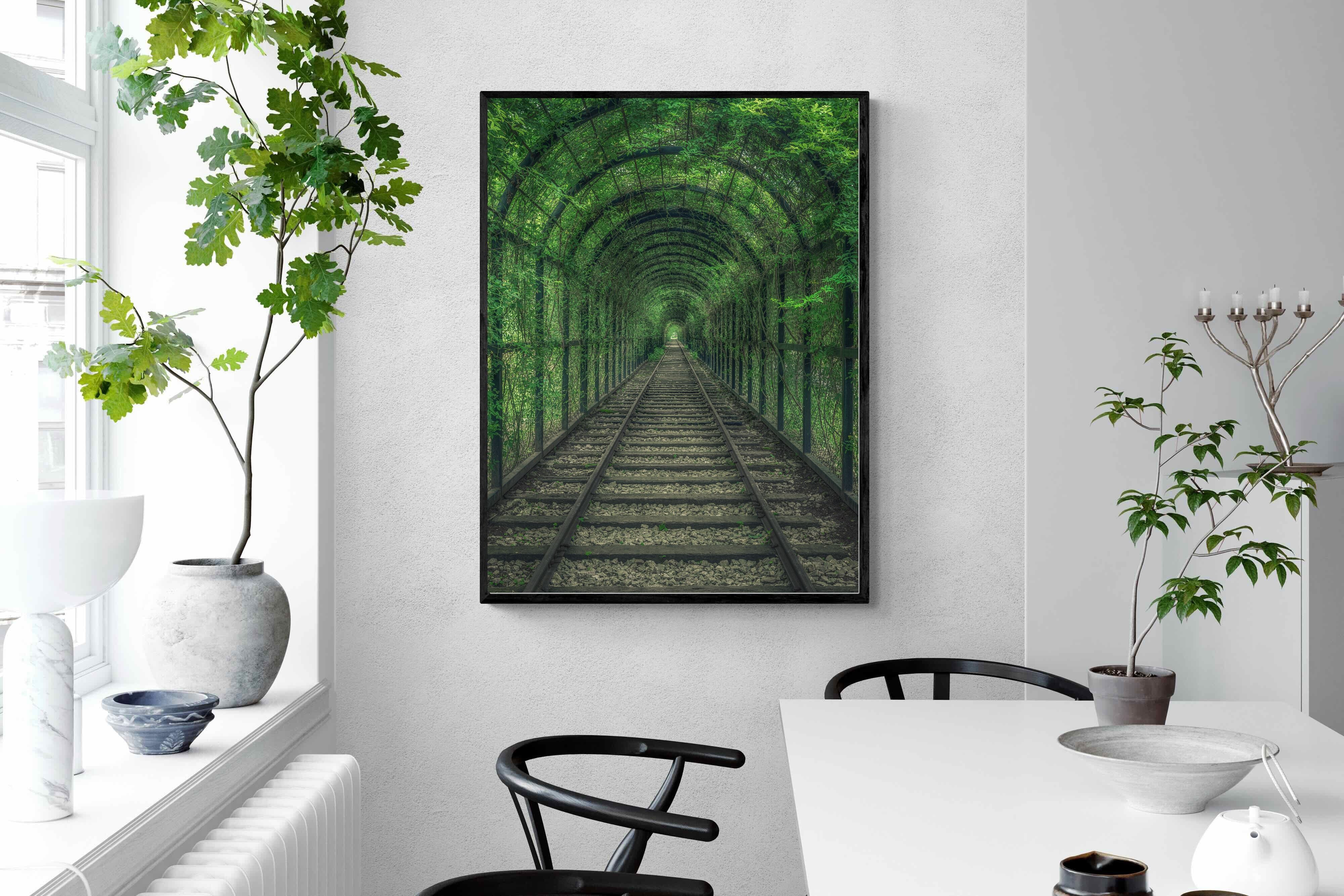 Pixalot Ivy Tunnel