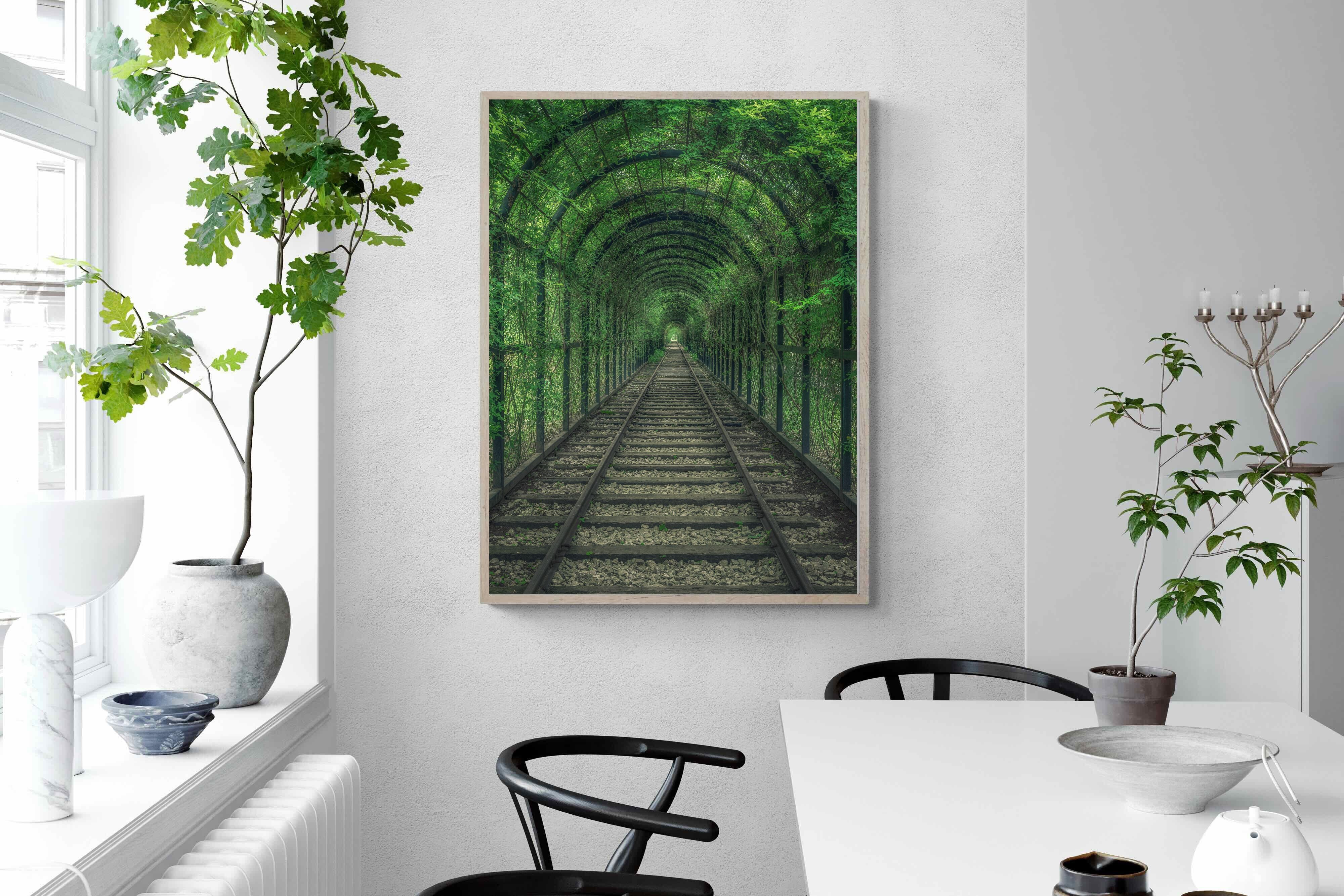 Pixalot Ivy Tunnel