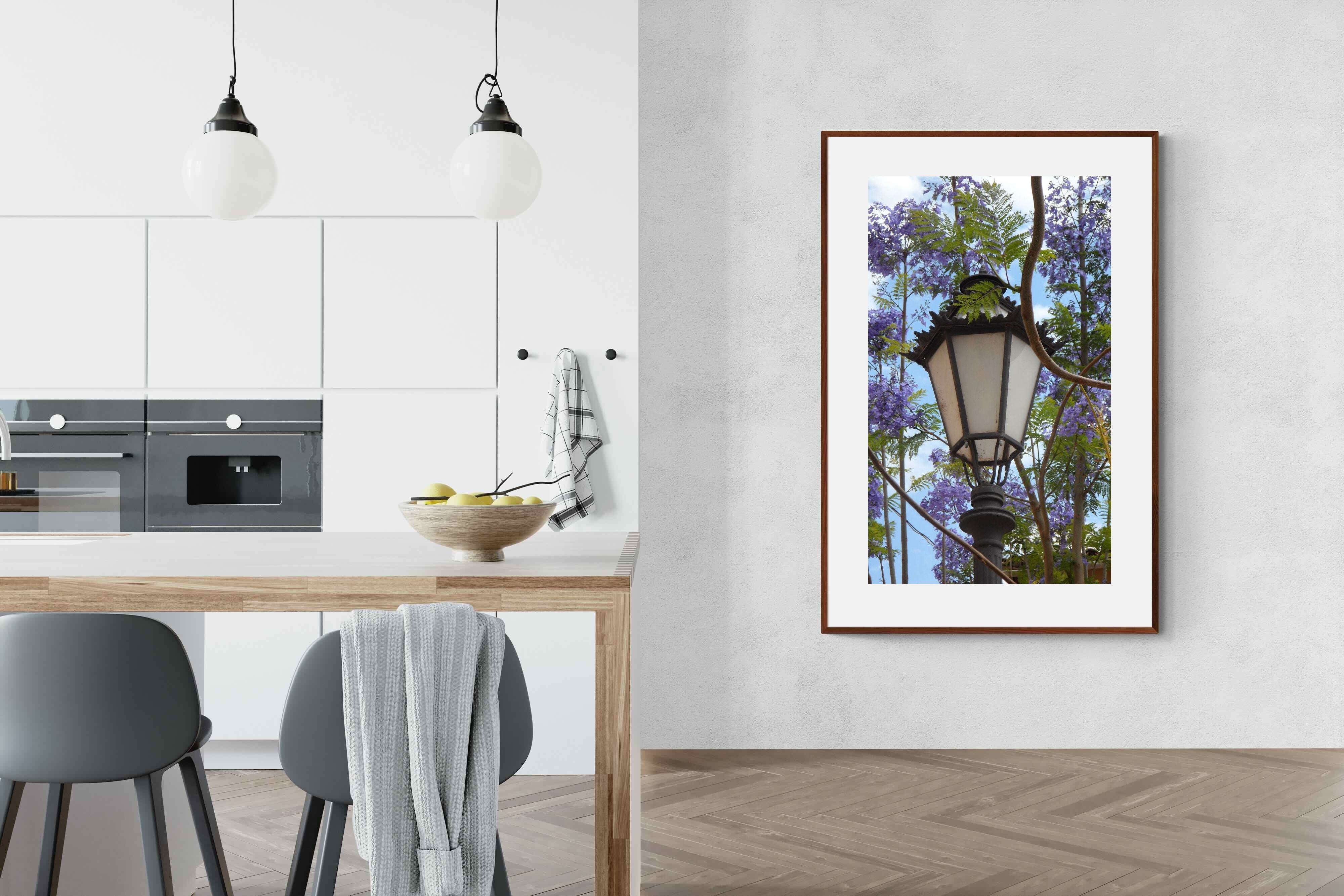 Pixalot Jacaranda Street Lamp
