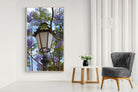 Pixalot Jacaranda Street Lamp