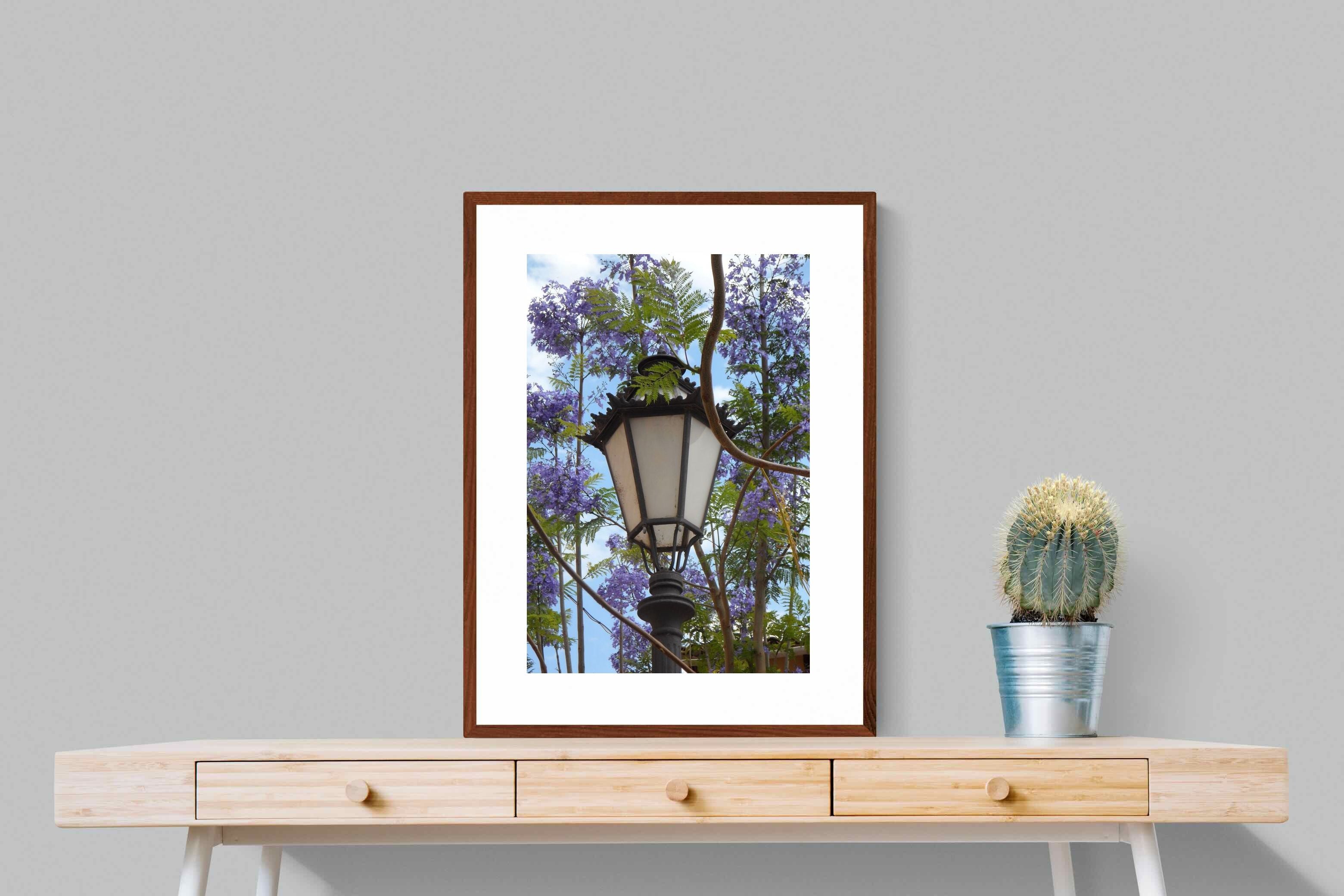 Pixalot Jacaranda Street Lamp
