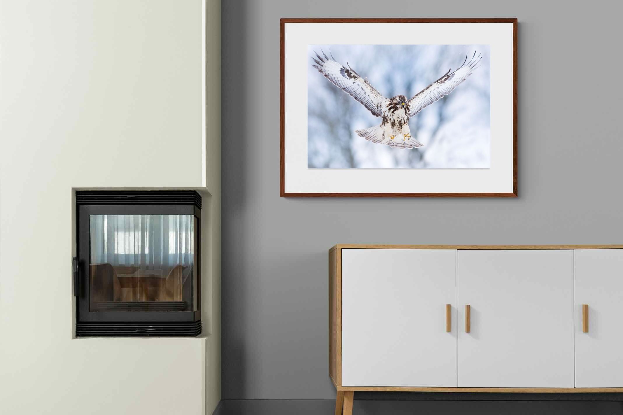 Pixalot ® Jackal Buzzard