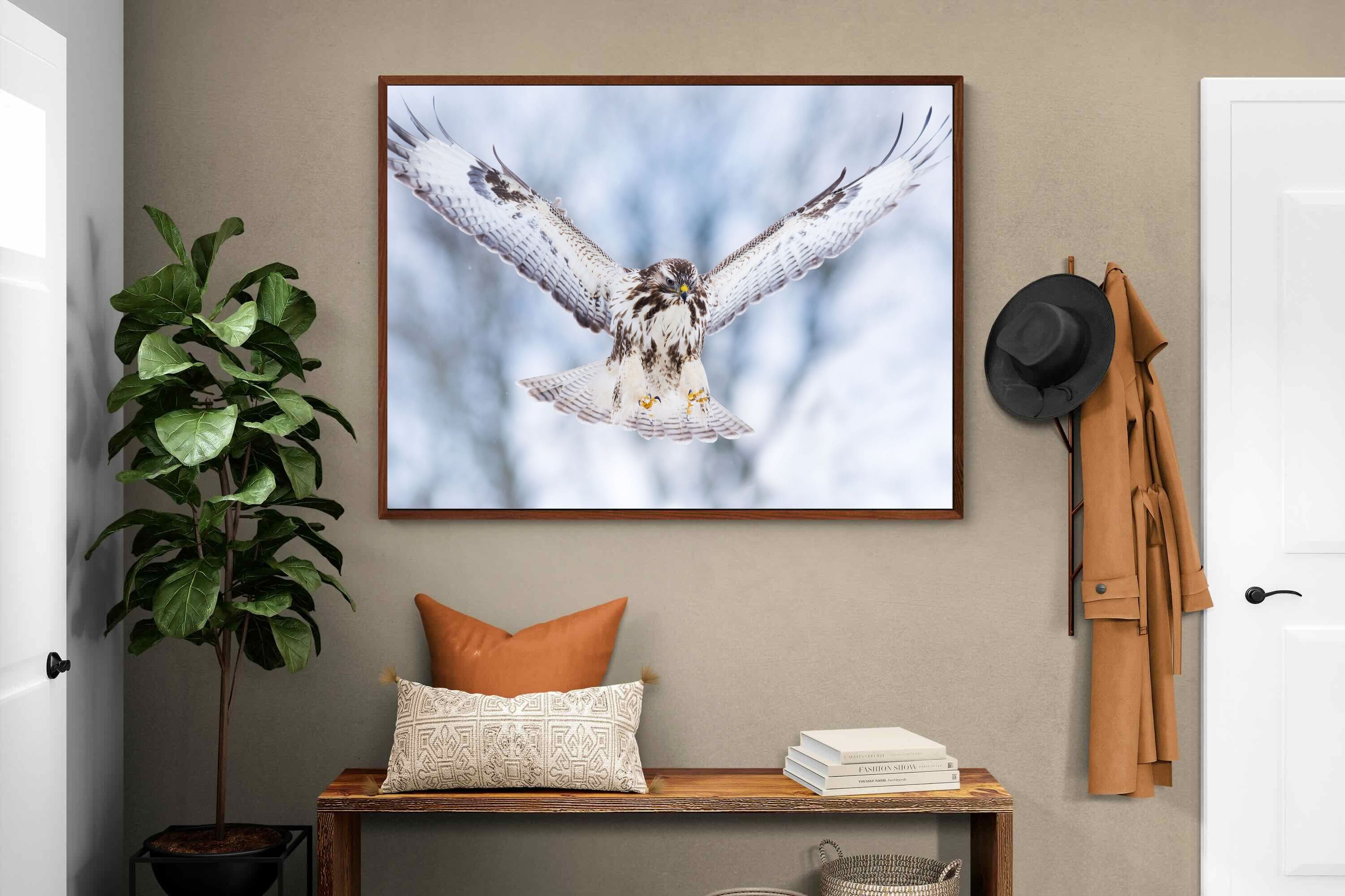 Pixalot ® Jackal Buzzard