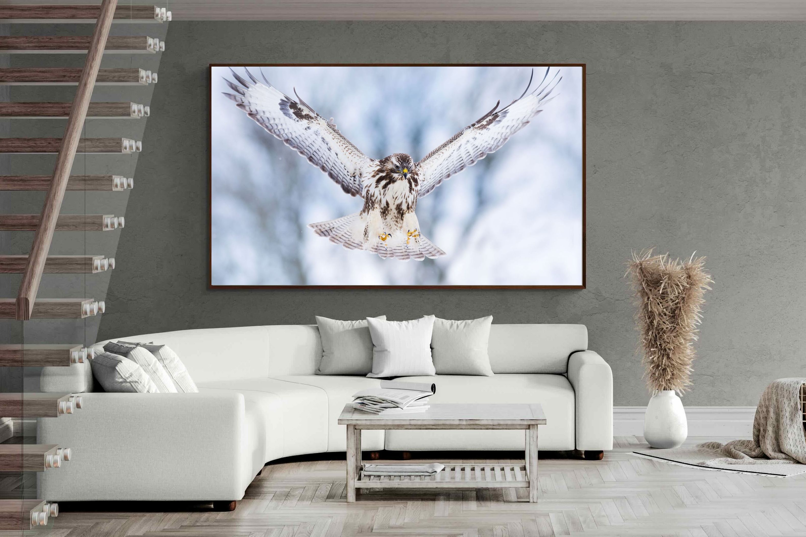 Pixalot ® Jackal Buzzard