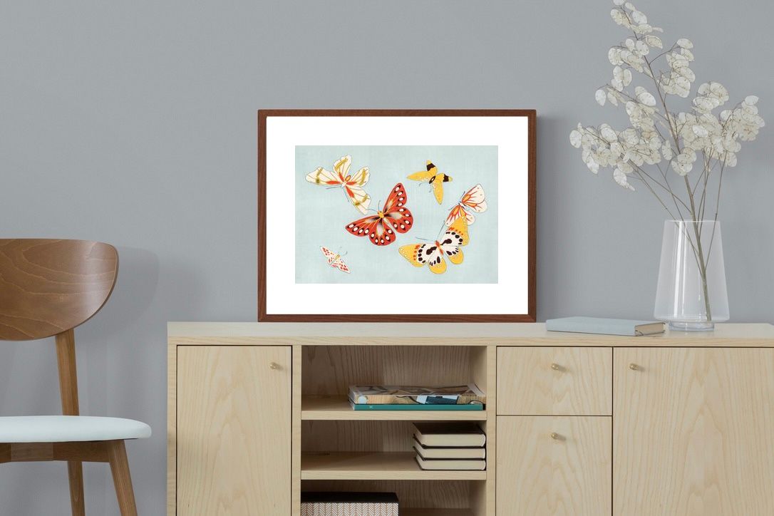 Pixalot Japanese Butterfly