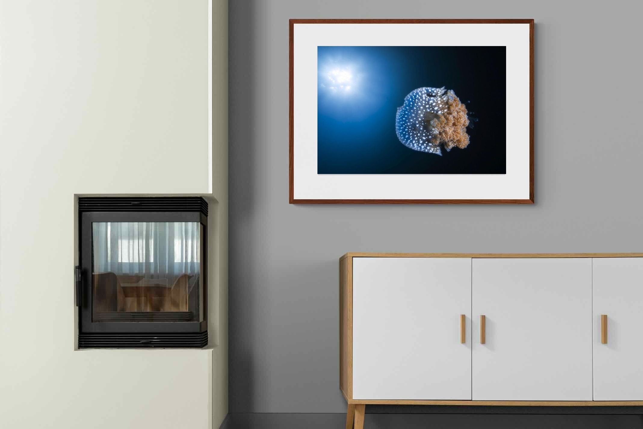 Pixalot ® Jellyfish