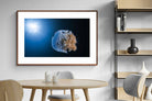 Pixalot ® Jellyfish