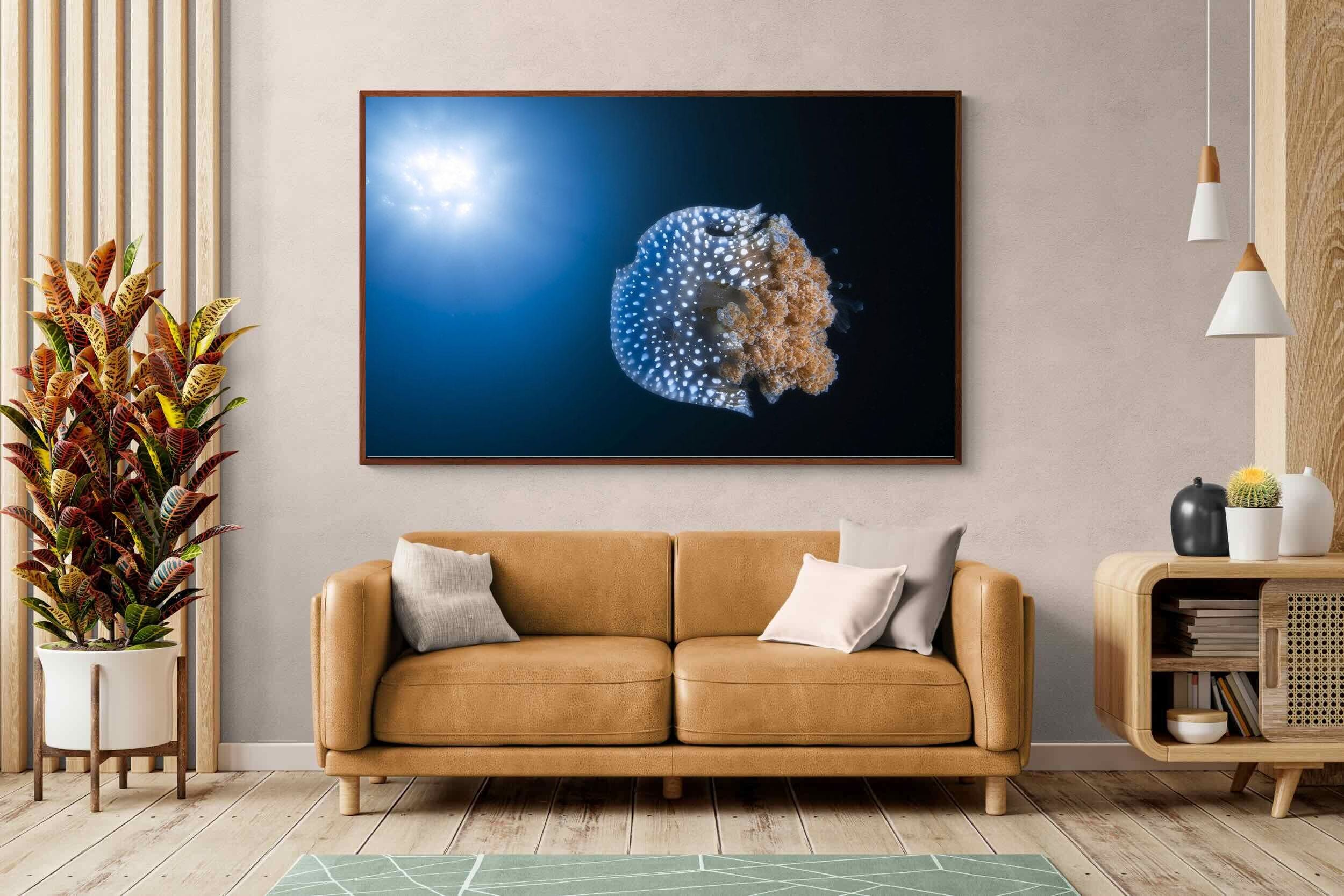 Pixalot ® Jellyfish