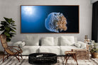 Pixalot ® Jellyfish