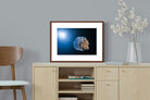 Pixalot ® Jellyfish