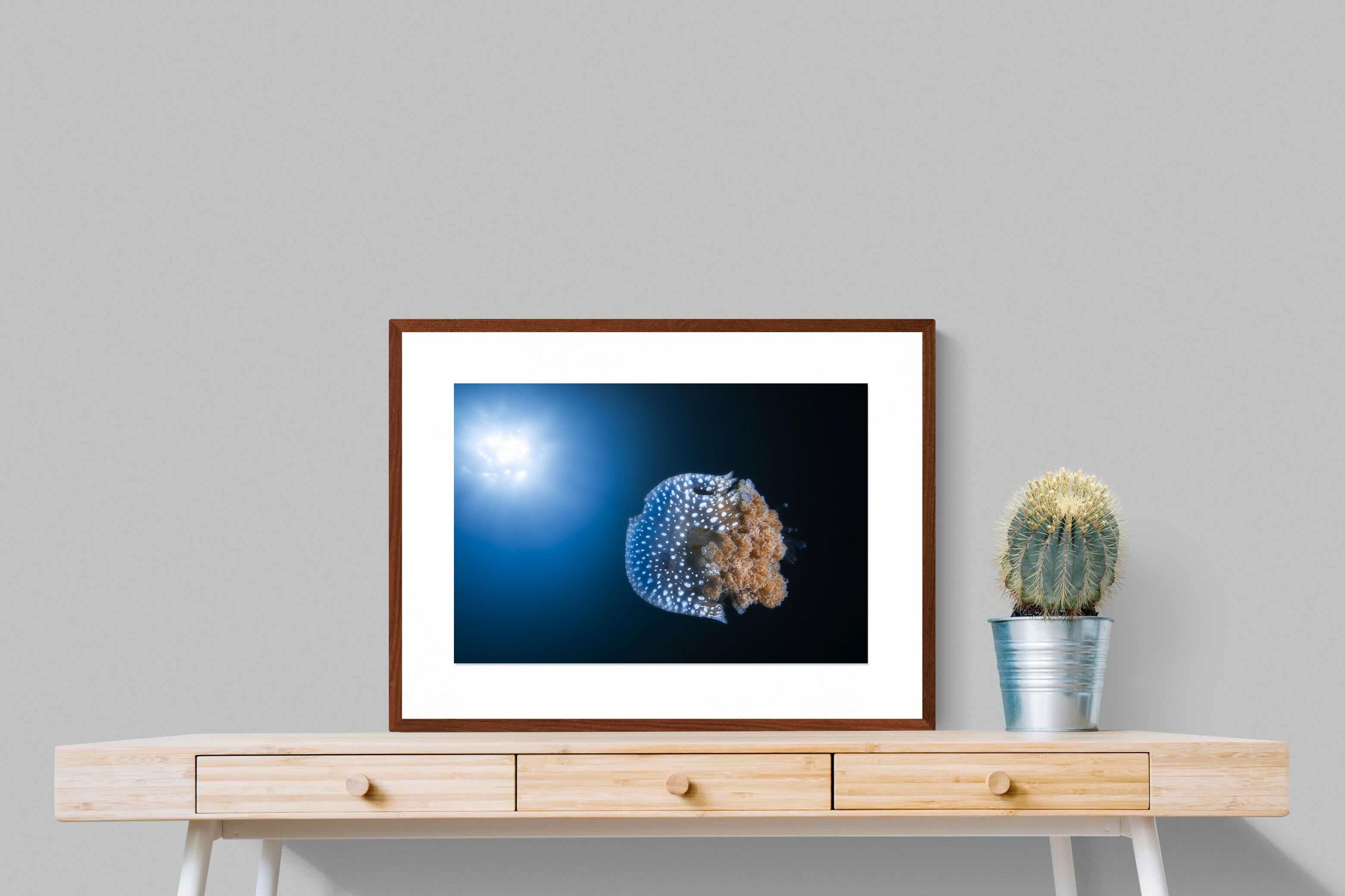 Pixalot ® Jellyfish