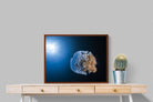 Pixalot ® Jellyfish