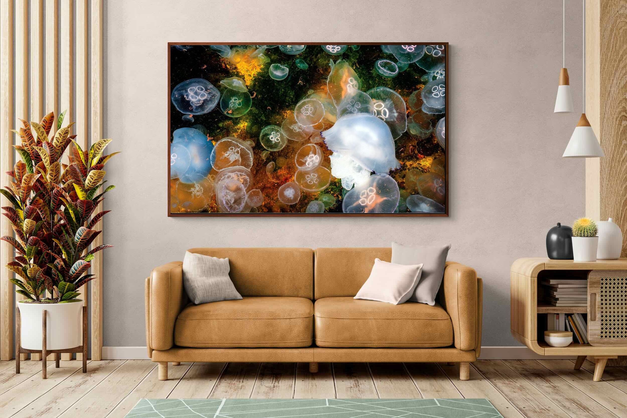 Pixalot ® Jellyfish Smack
