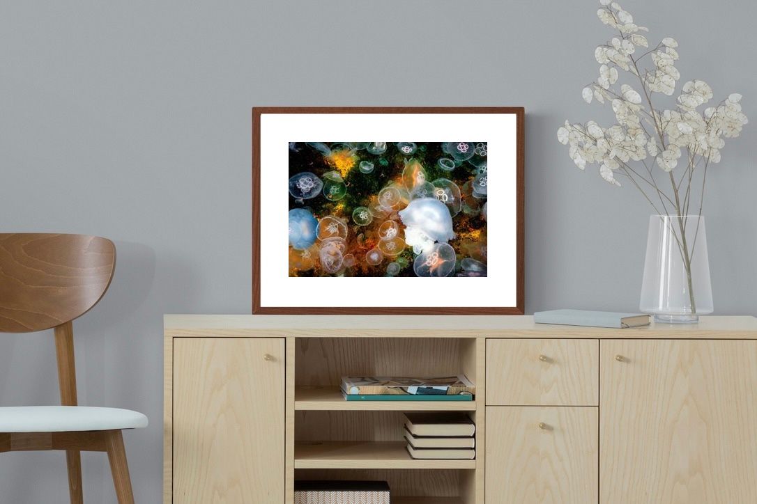 Pixalot ® Jellyfish Smack