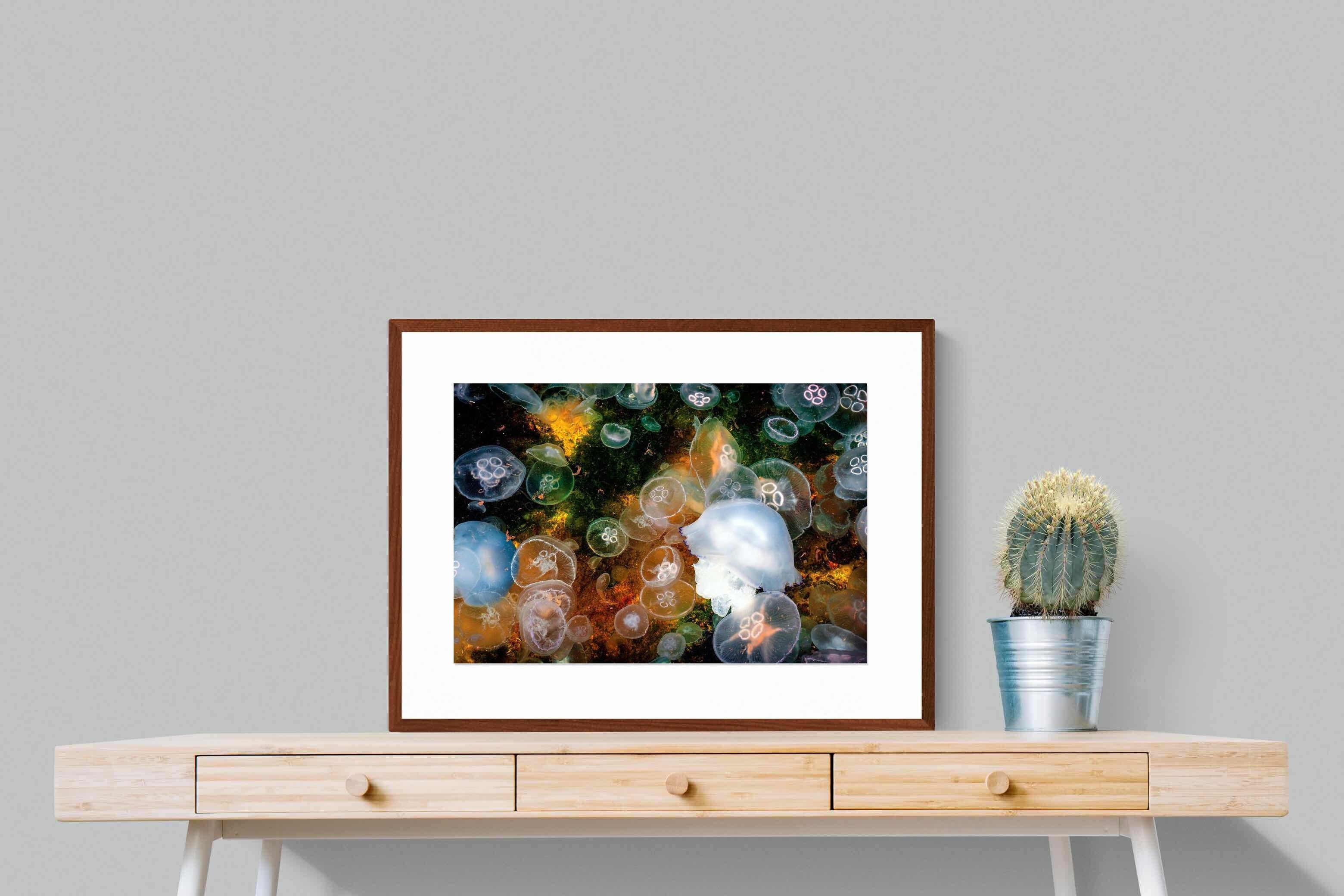 Pixalot ® Jellyfish Smack