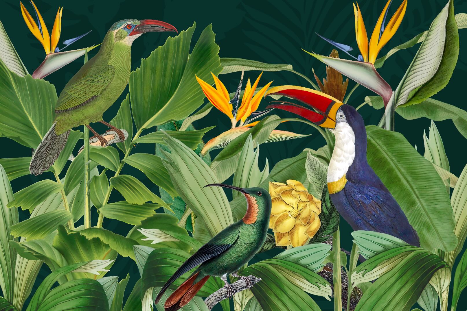 Jungle Chorus