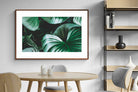 Pixalot ® Jungle