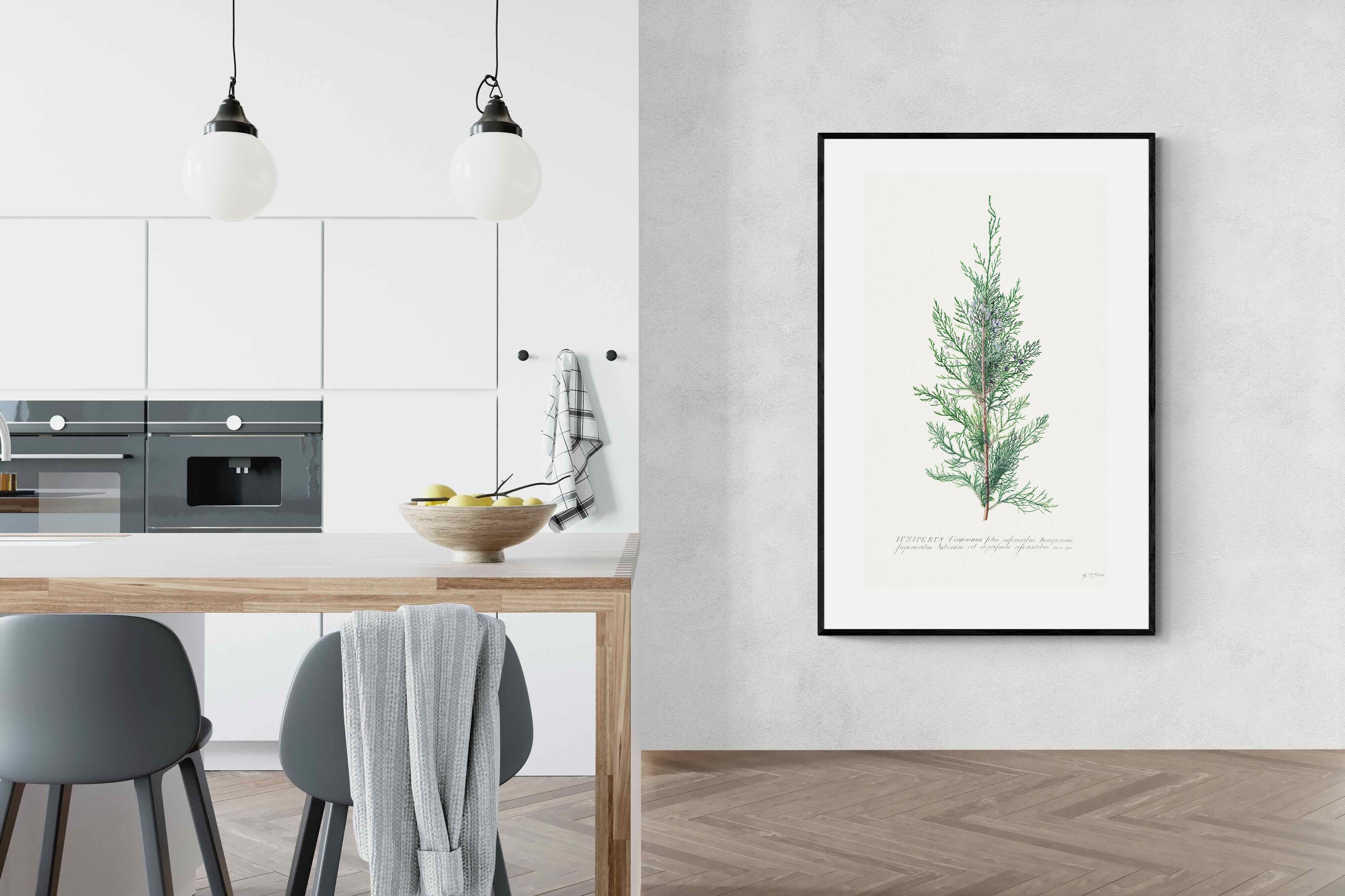 Pixalot Juniper Silhouette