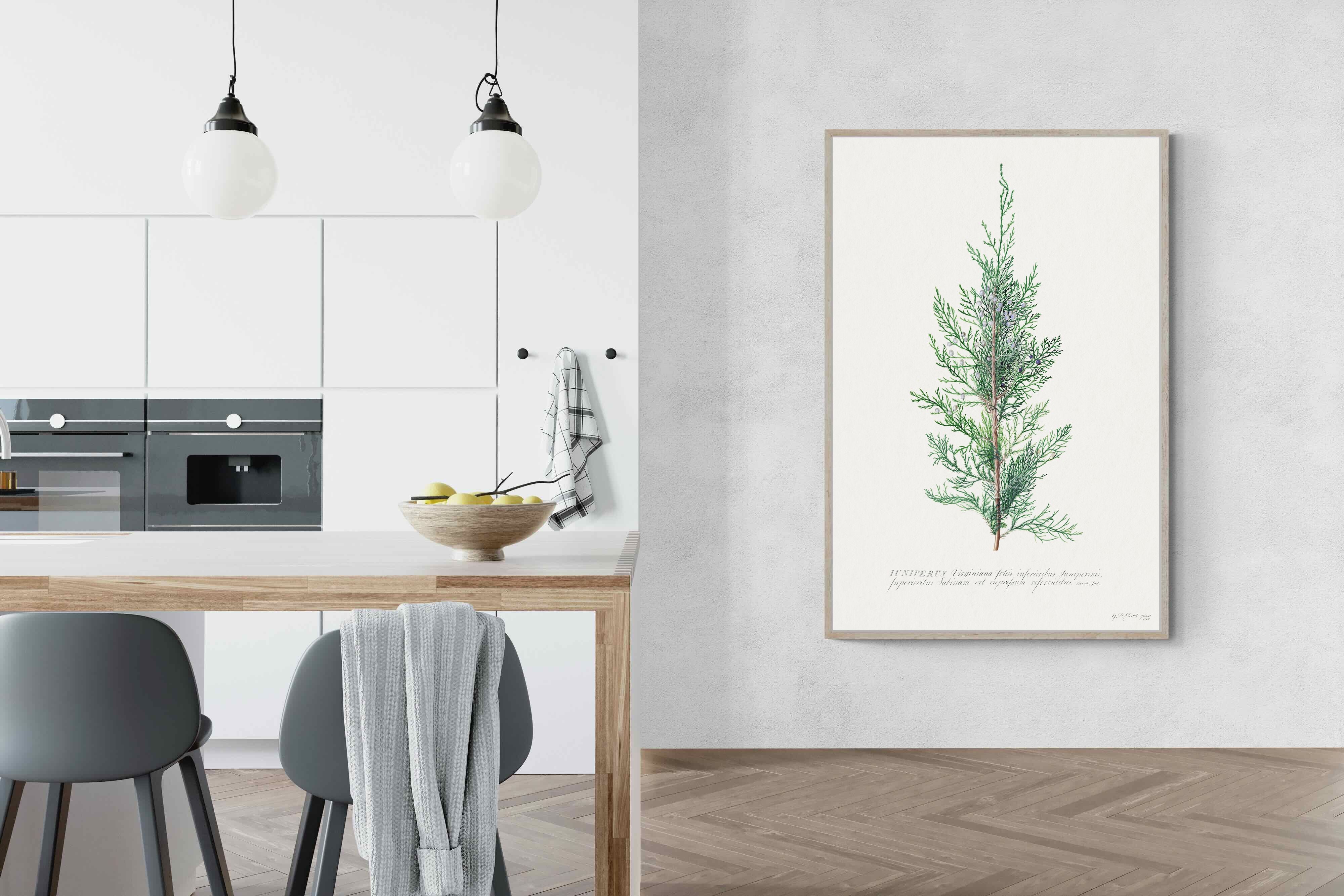 Pixalot Juniper Silhouette