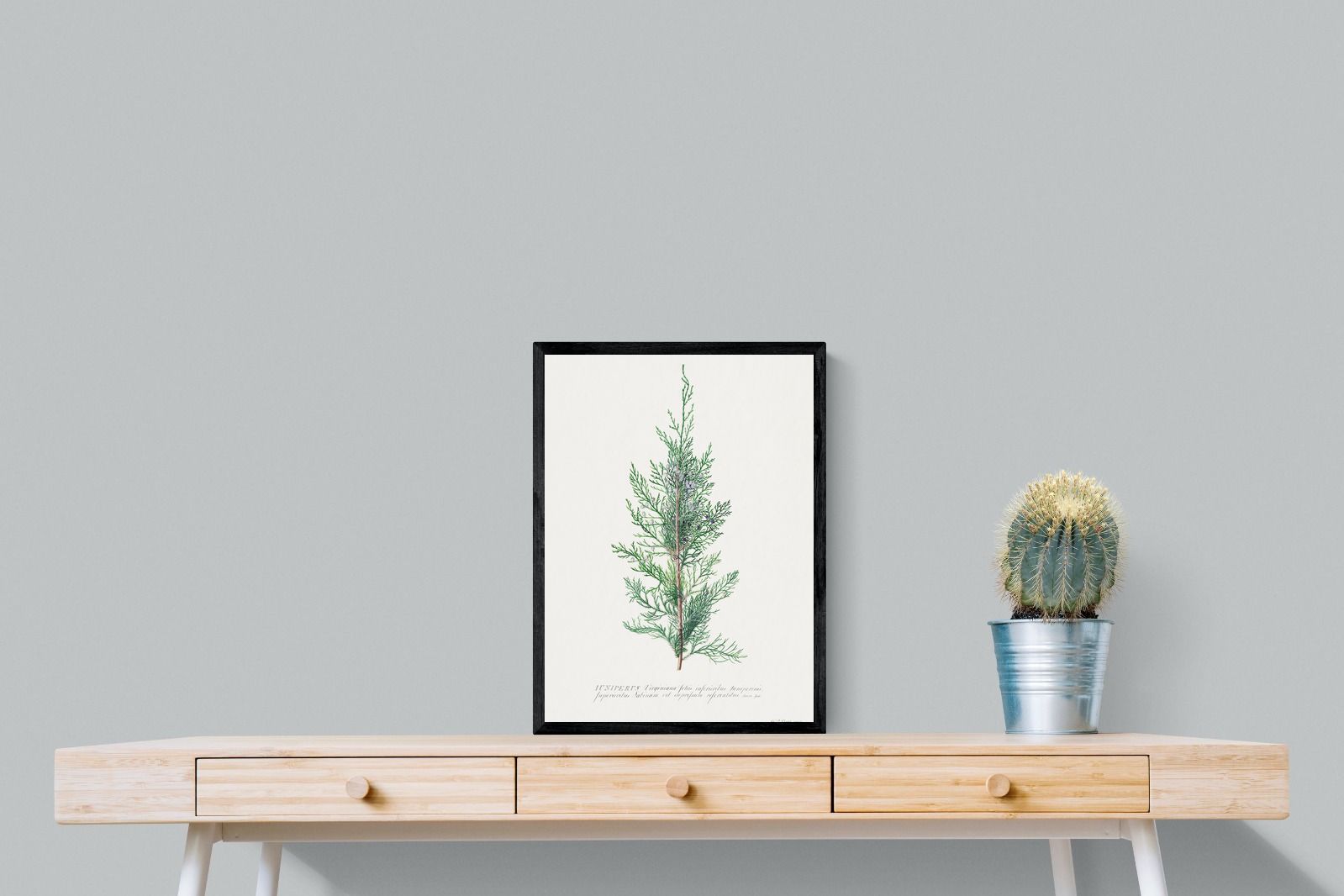 Pixalot Juniper Silhouette