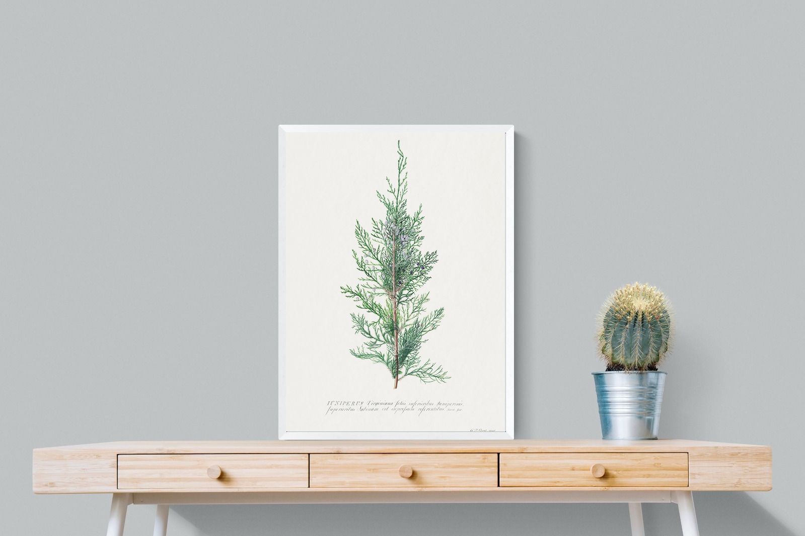 Pixalot Juniper Silhouette