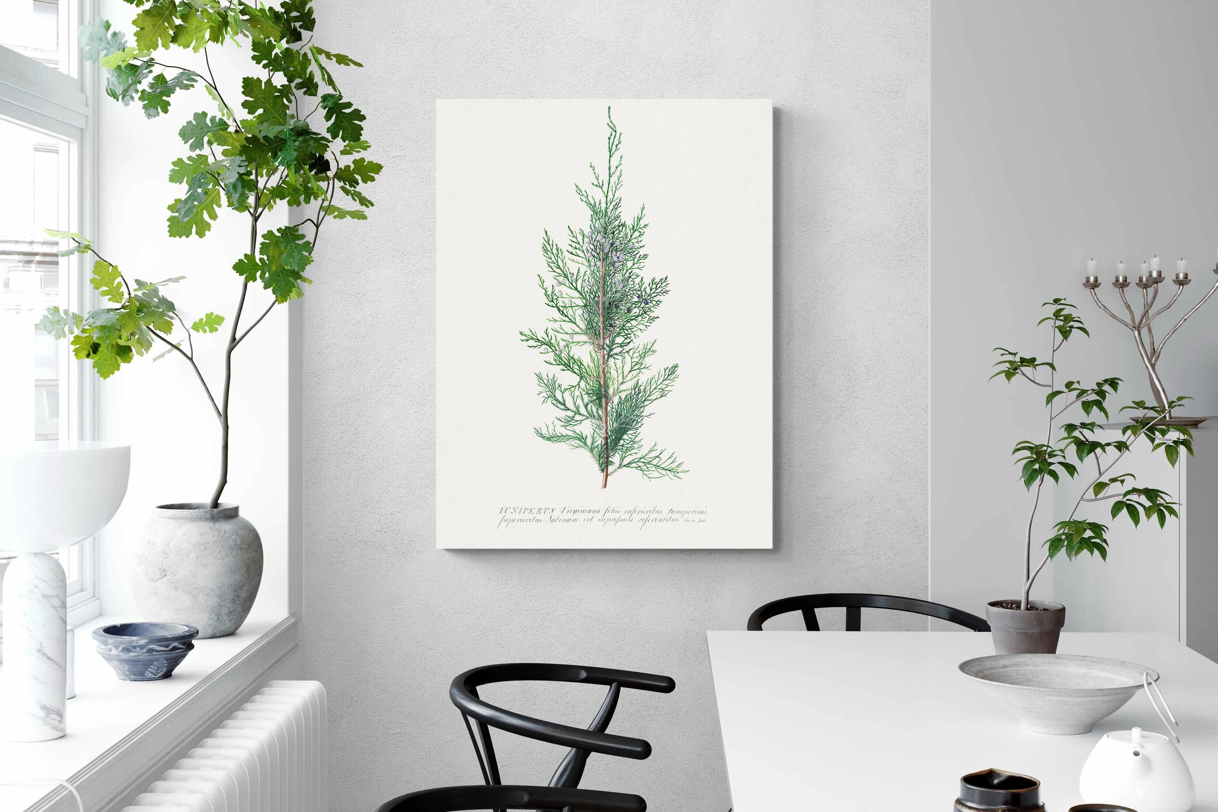 Pixalot Juniper Silhouette