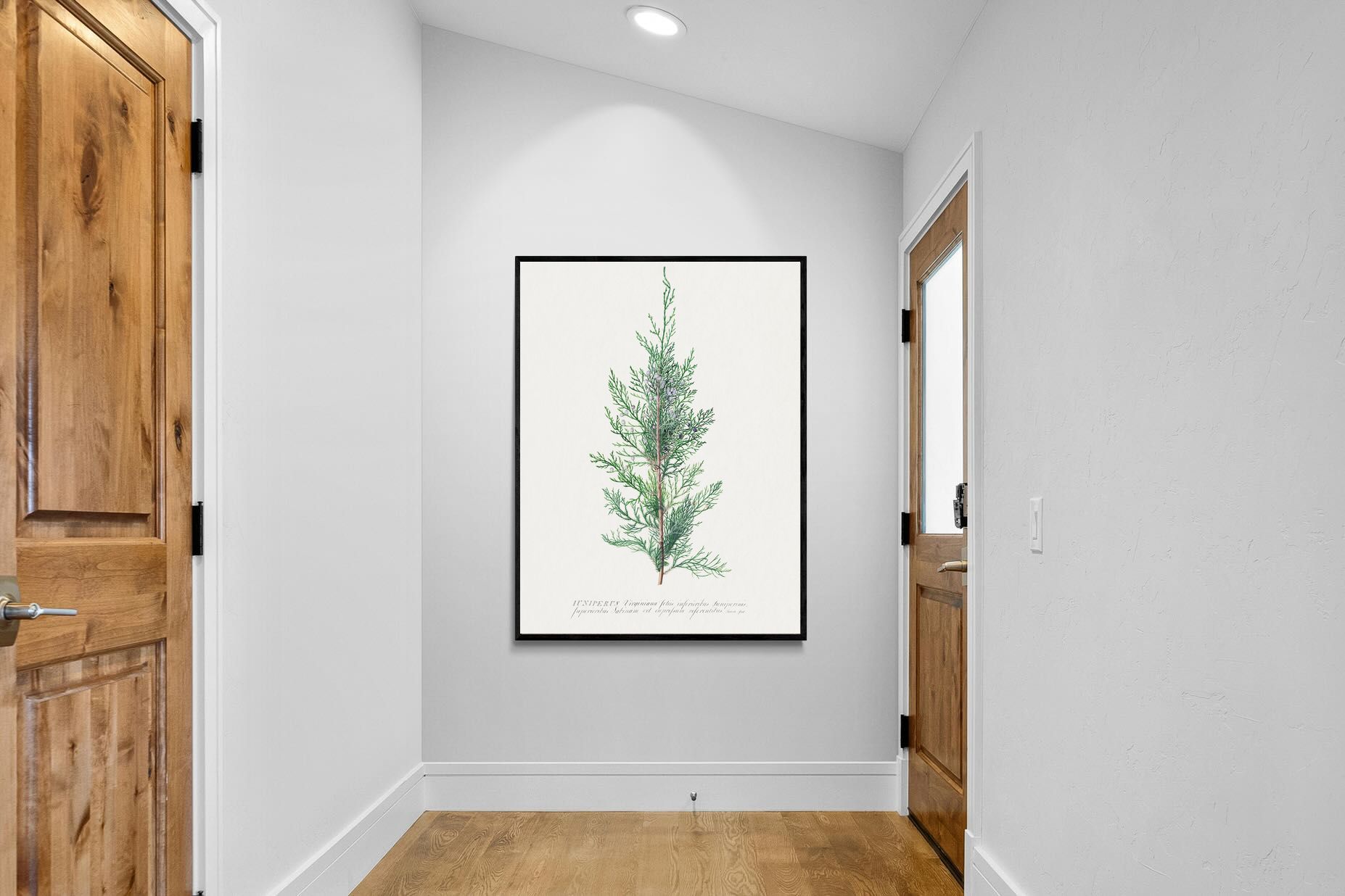 Pixalot Juniper Silhouette