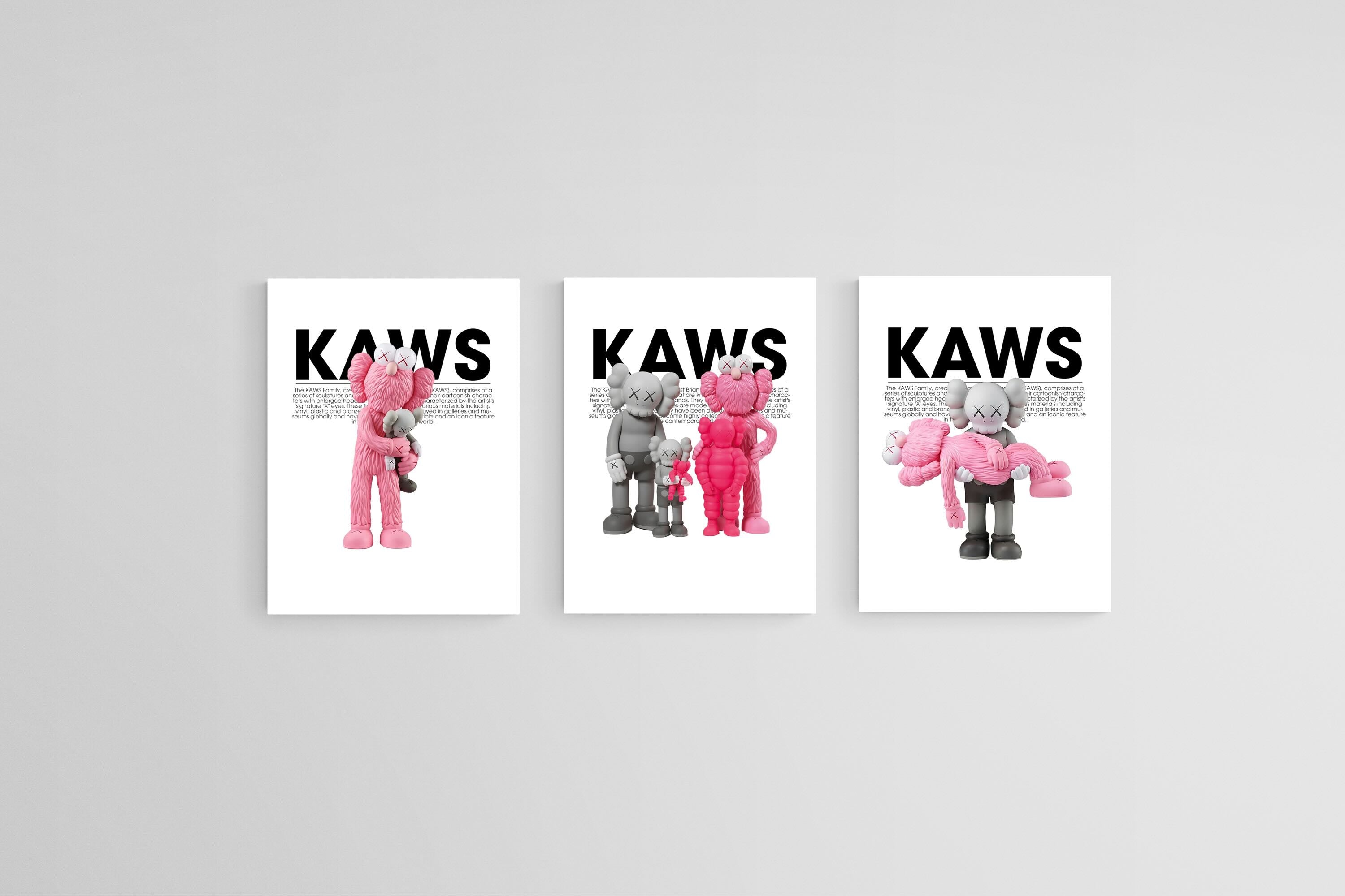 KAWS Family Set-Wall_Art-45 x 60cm (x3)-Mounted Canvas-No Frame-Pixalot