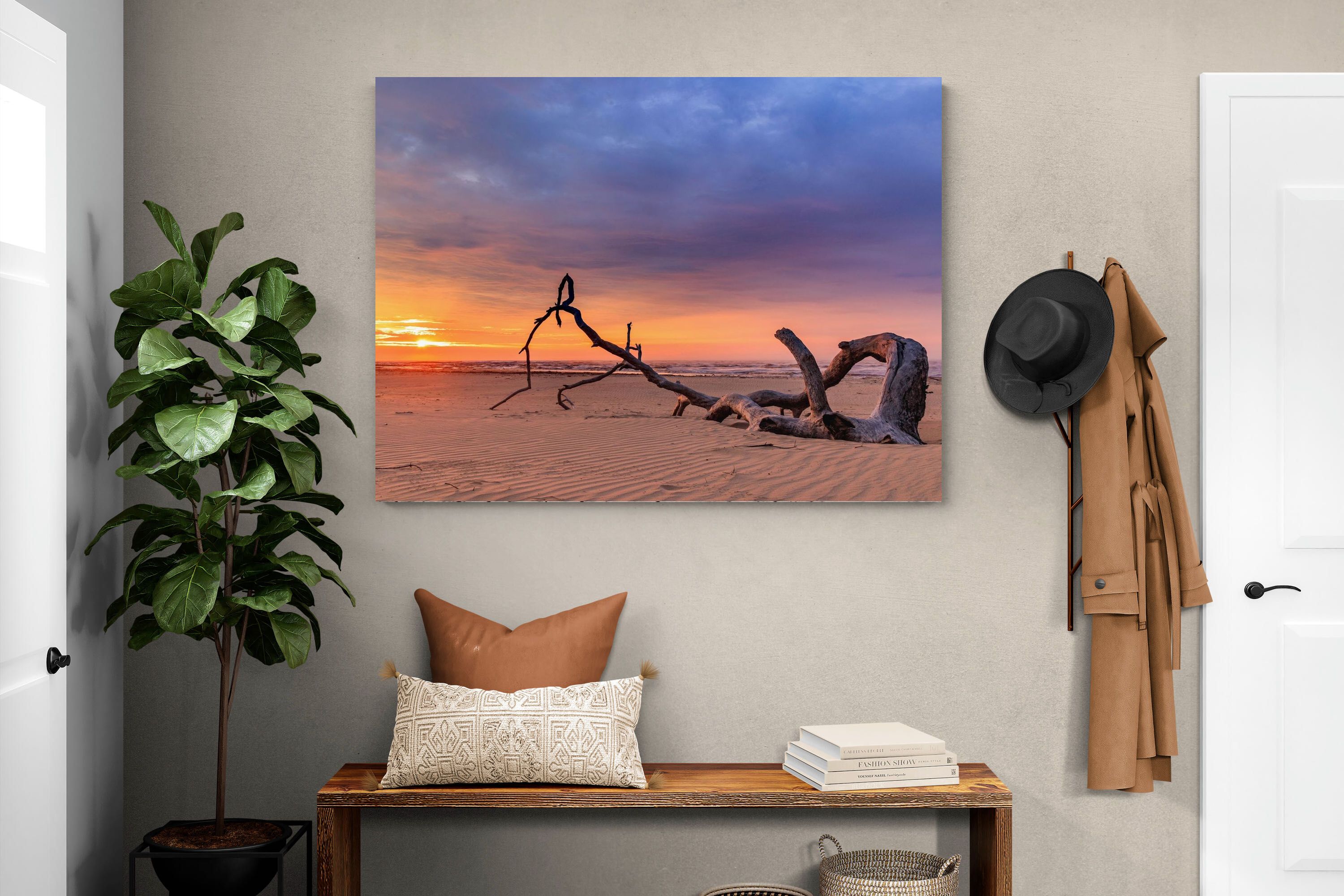 Pixalot Kei Mouth Driftwood