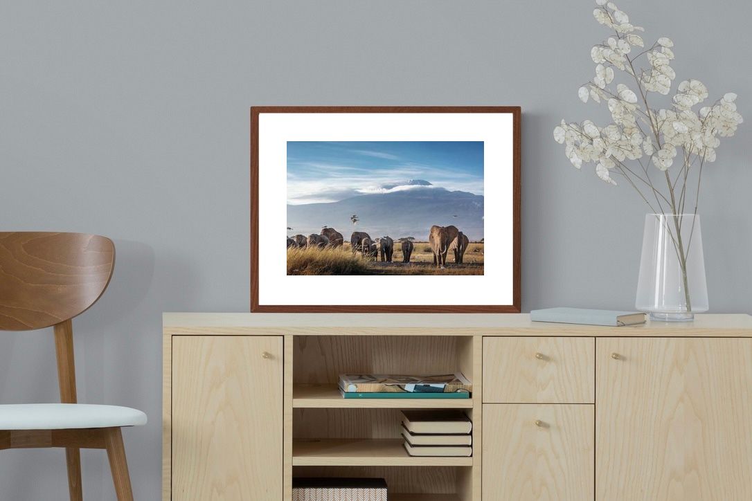 Pixalot ® Kilimanjaro Elephants