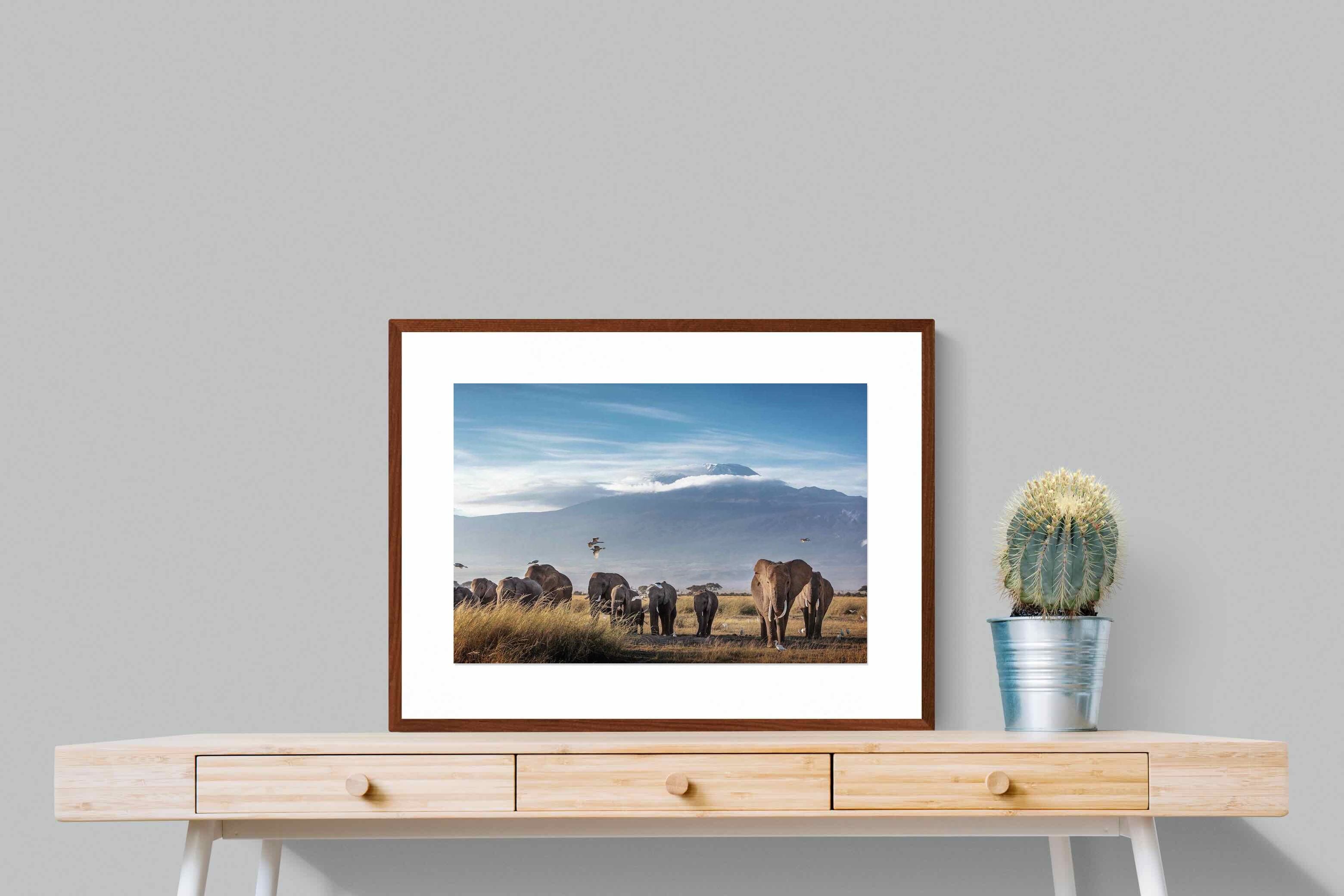 Pixalot ® Kilimanjaro Elephants
