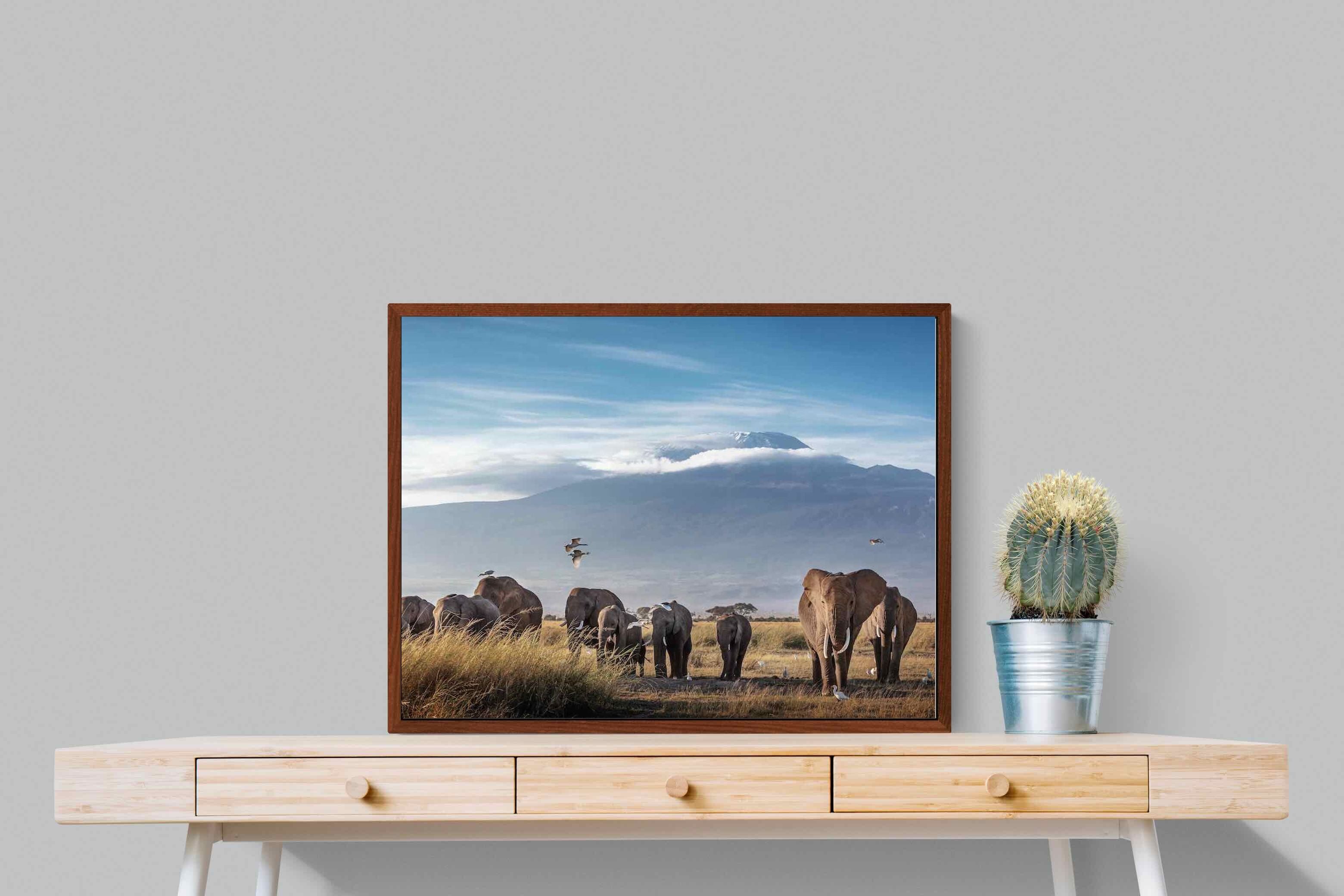 Pixalot ® Kilimanjaro Elephants