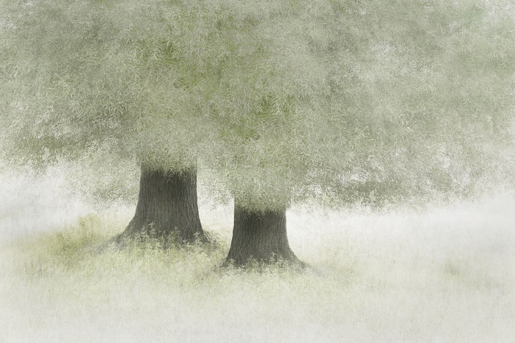 Kindred Trees