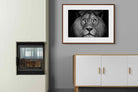 Pixalot ® King of the Jungle