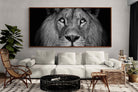 Pixalot ® King of the Jungle