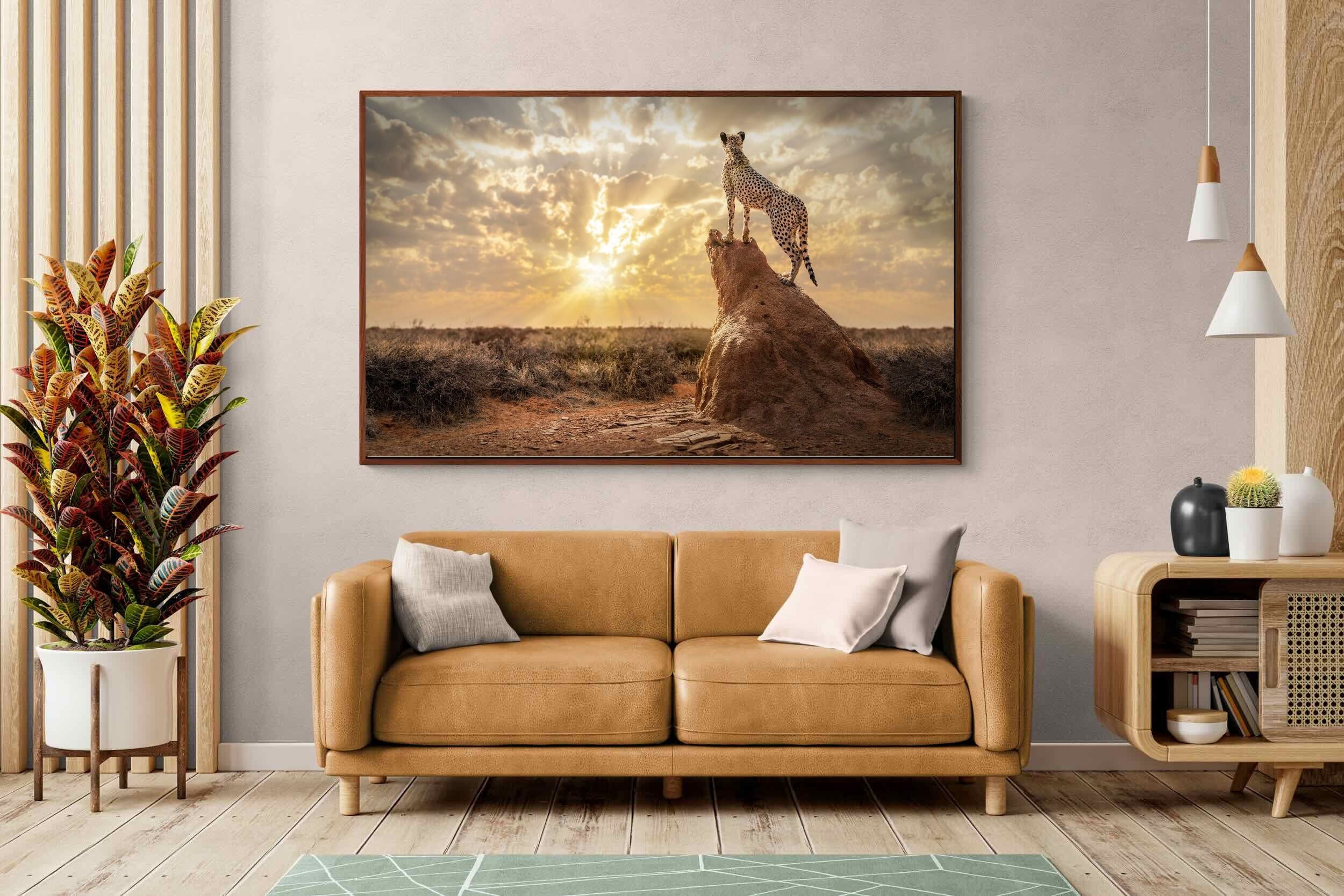 King of the Savannah (Colour) Wall Art | Canvas & Framed Prints
