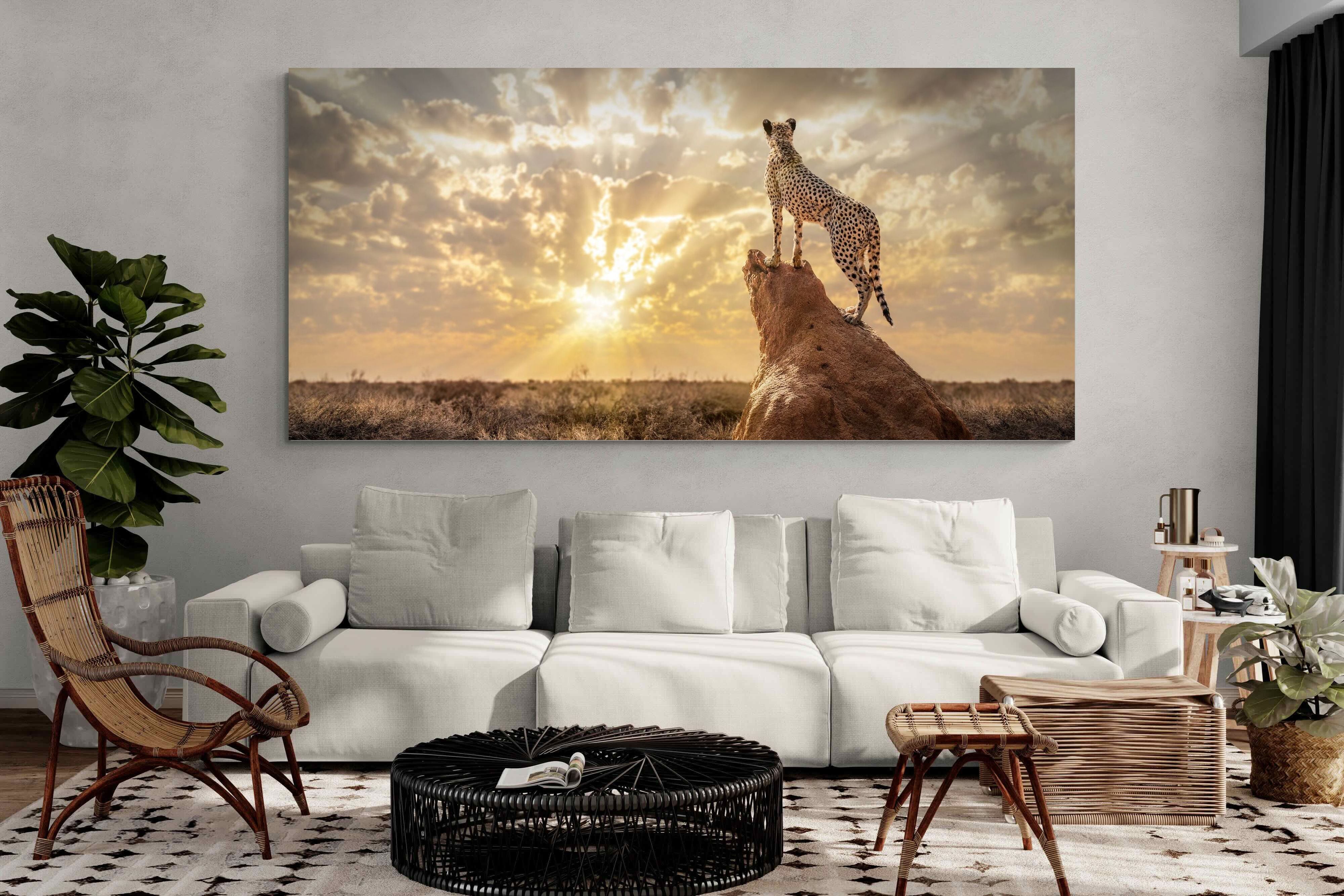 Pixalot King of the Savannah (Colour)