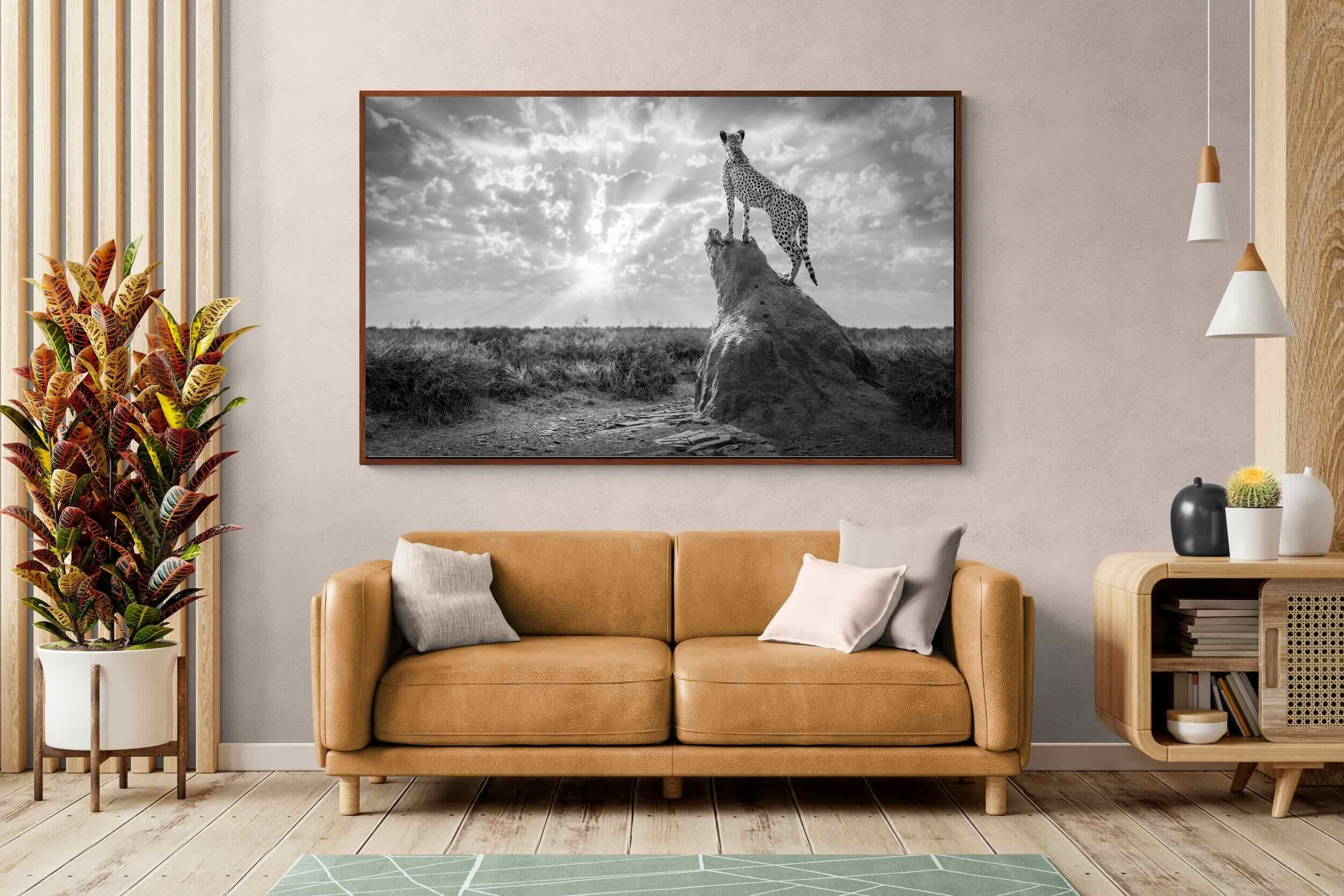 Pixalot King of the Savannah