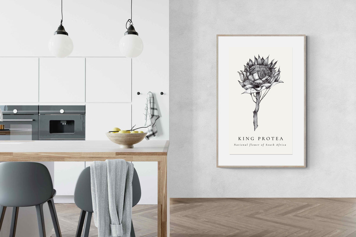 Pixalot ® King Protea Illustration