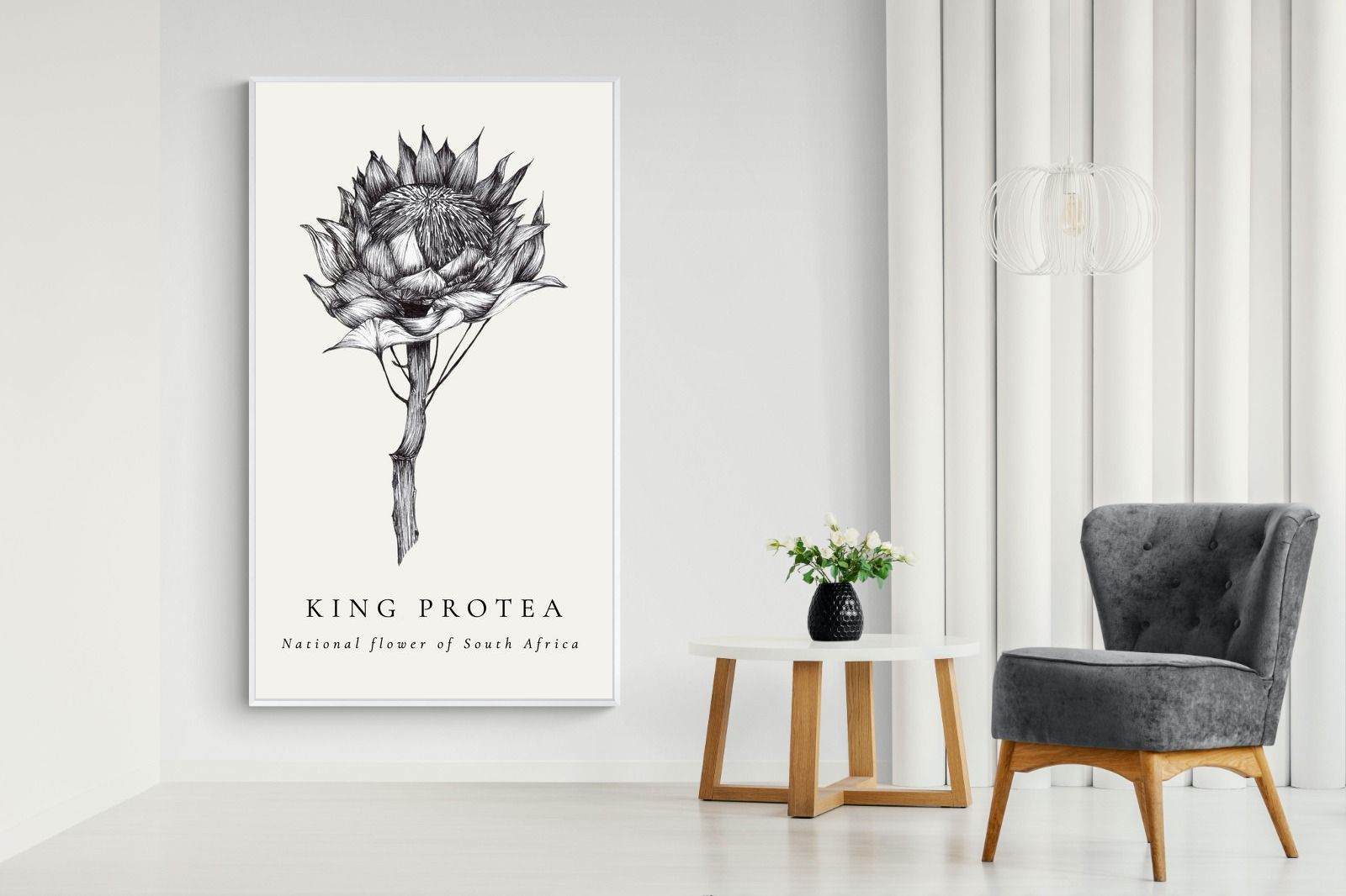 Pixalot ® King Protea Illustration
