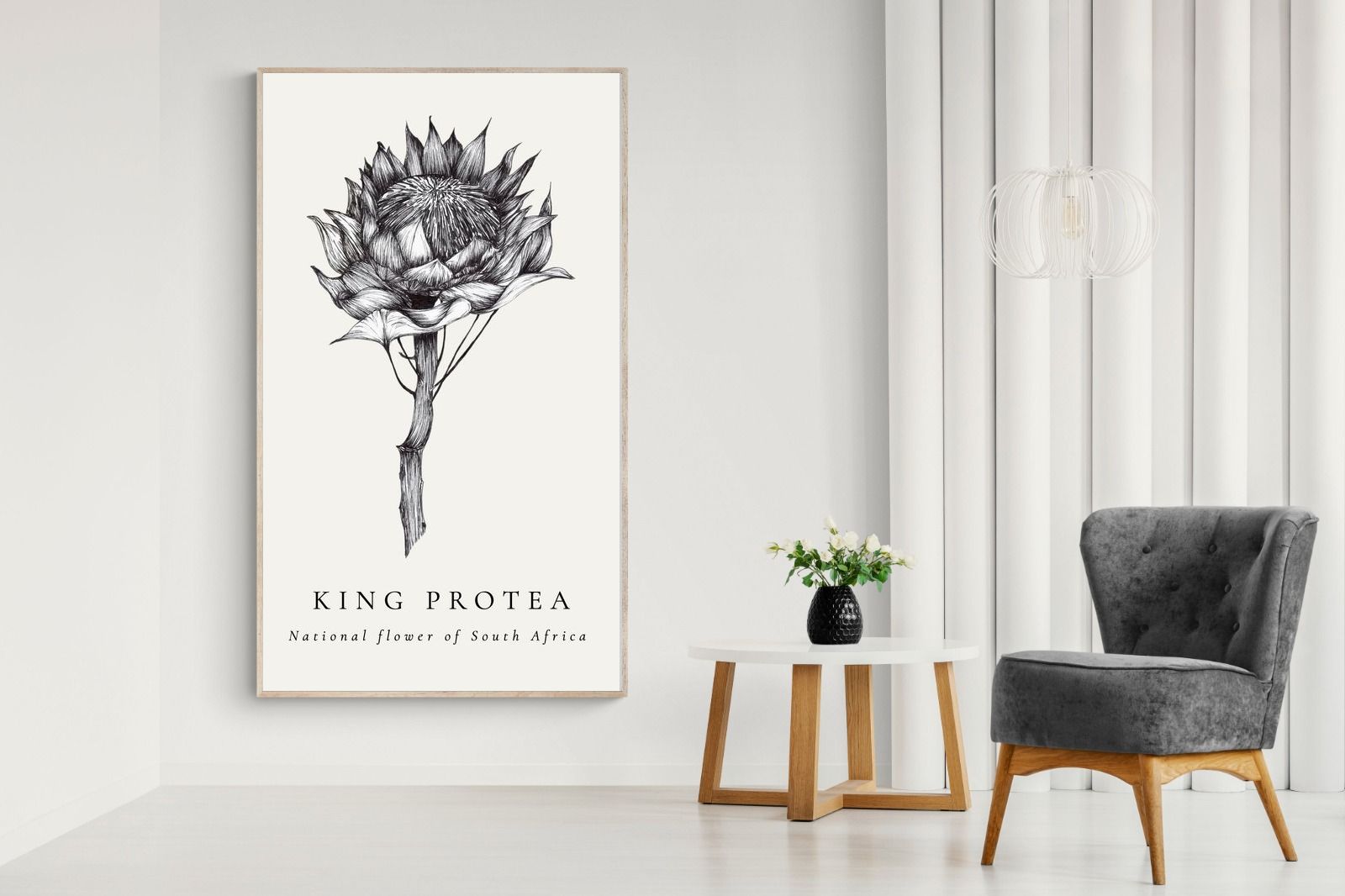 Pixalot ® King Protea Illustration