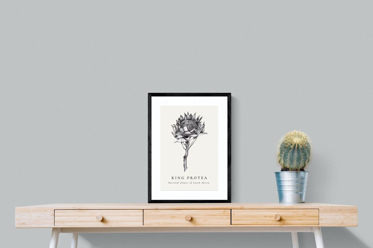 Pixalot ® King Protea Illustration