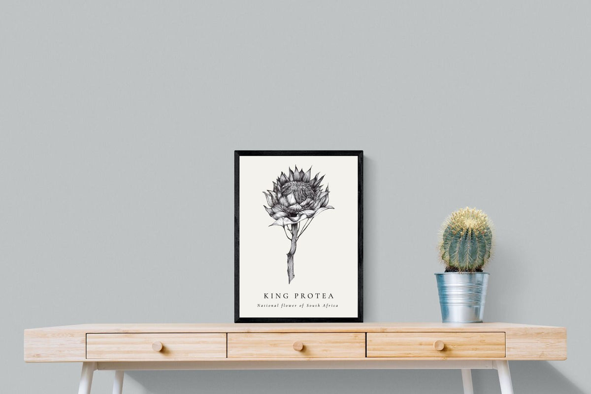 Pixalot ® King Protea Illustration