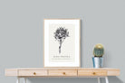 Pixalot ® King Protea Illustration