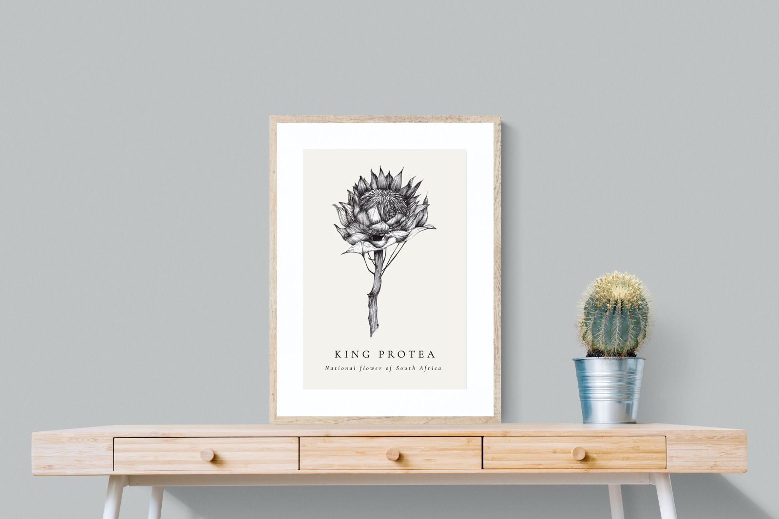 Pixalot ® King Protea Illustration